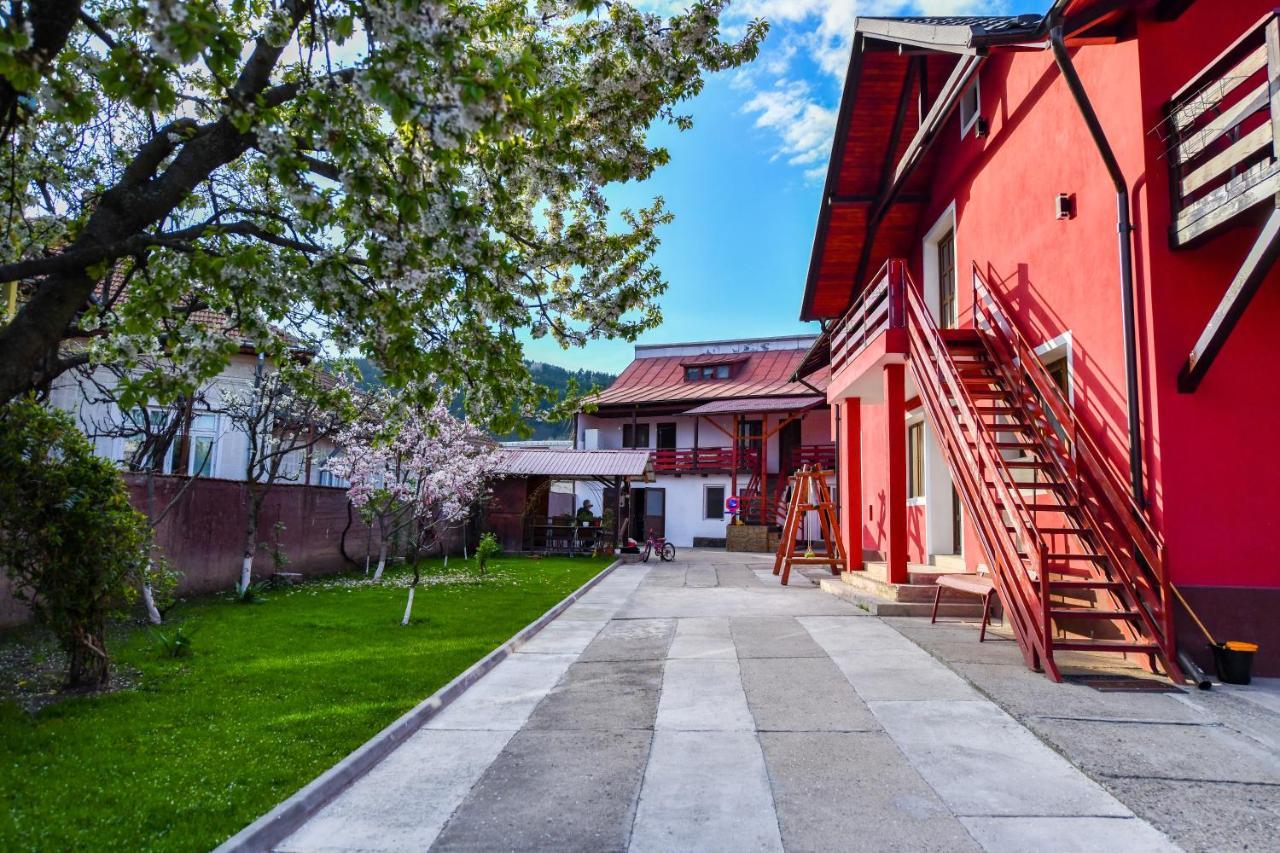 Villa Castellino Tîrgu Ocna Buitenkant foto